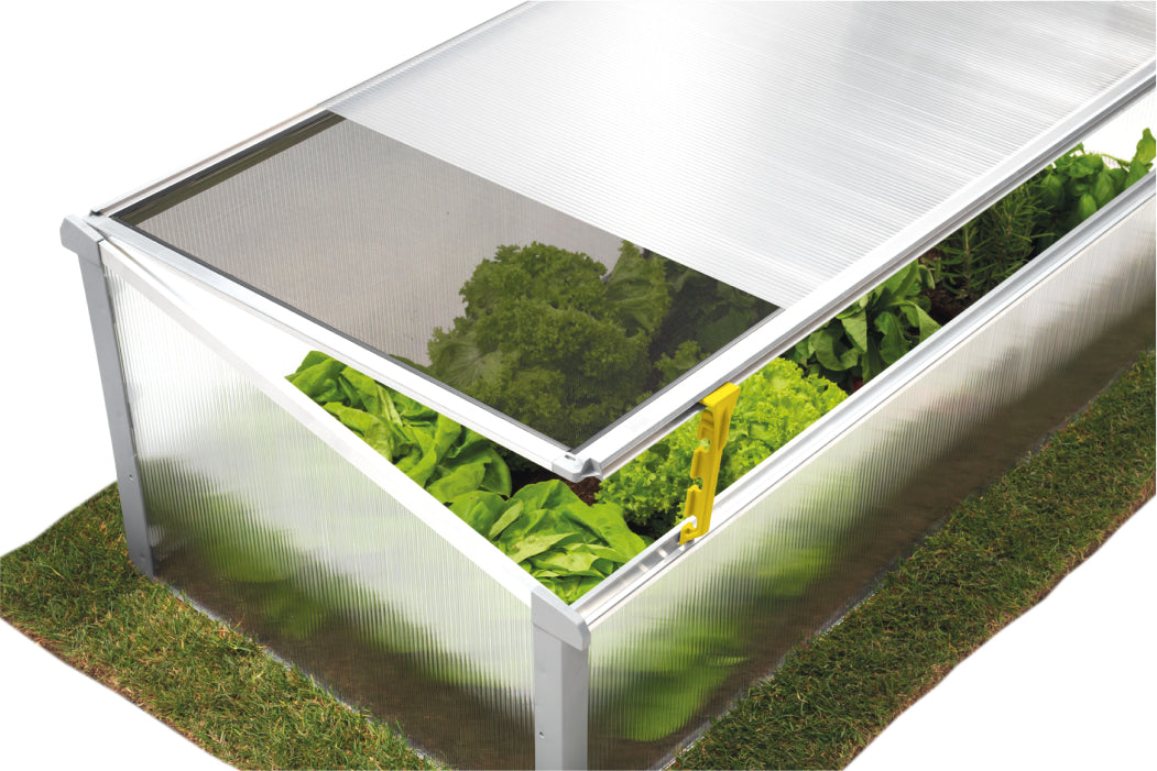 Year Round Cold Frame