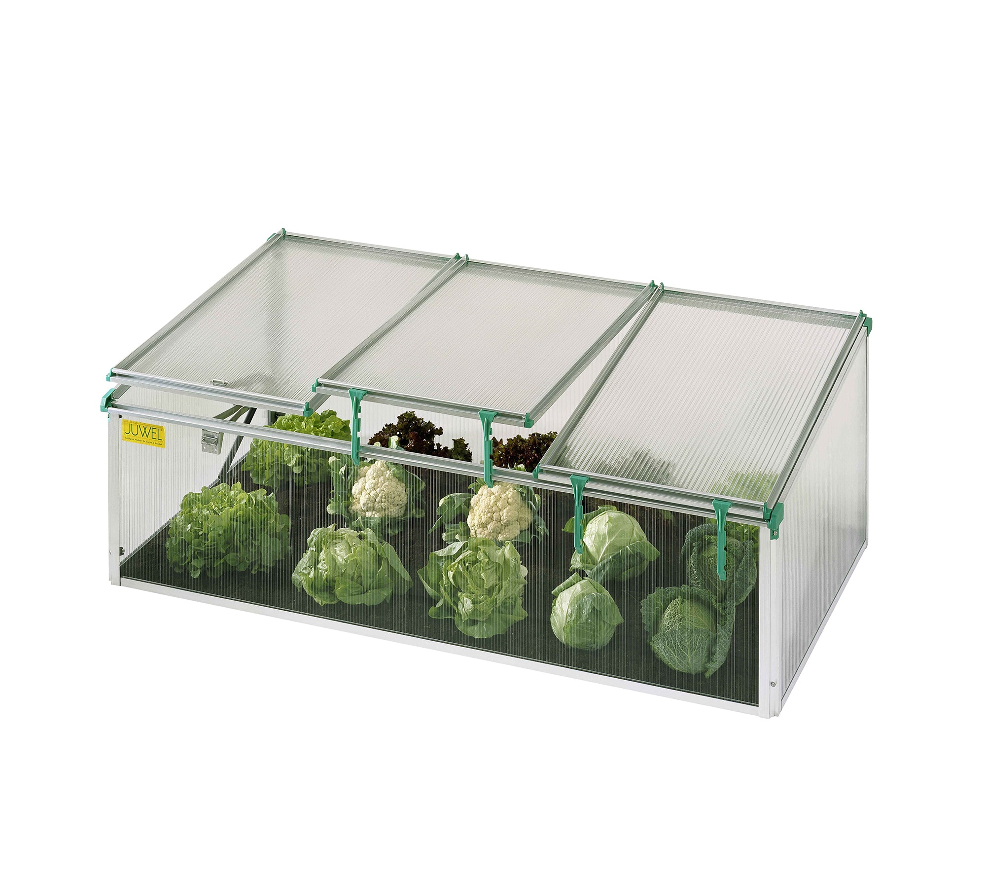 BioStar 1500 Cold Frame Mini Greenhouse