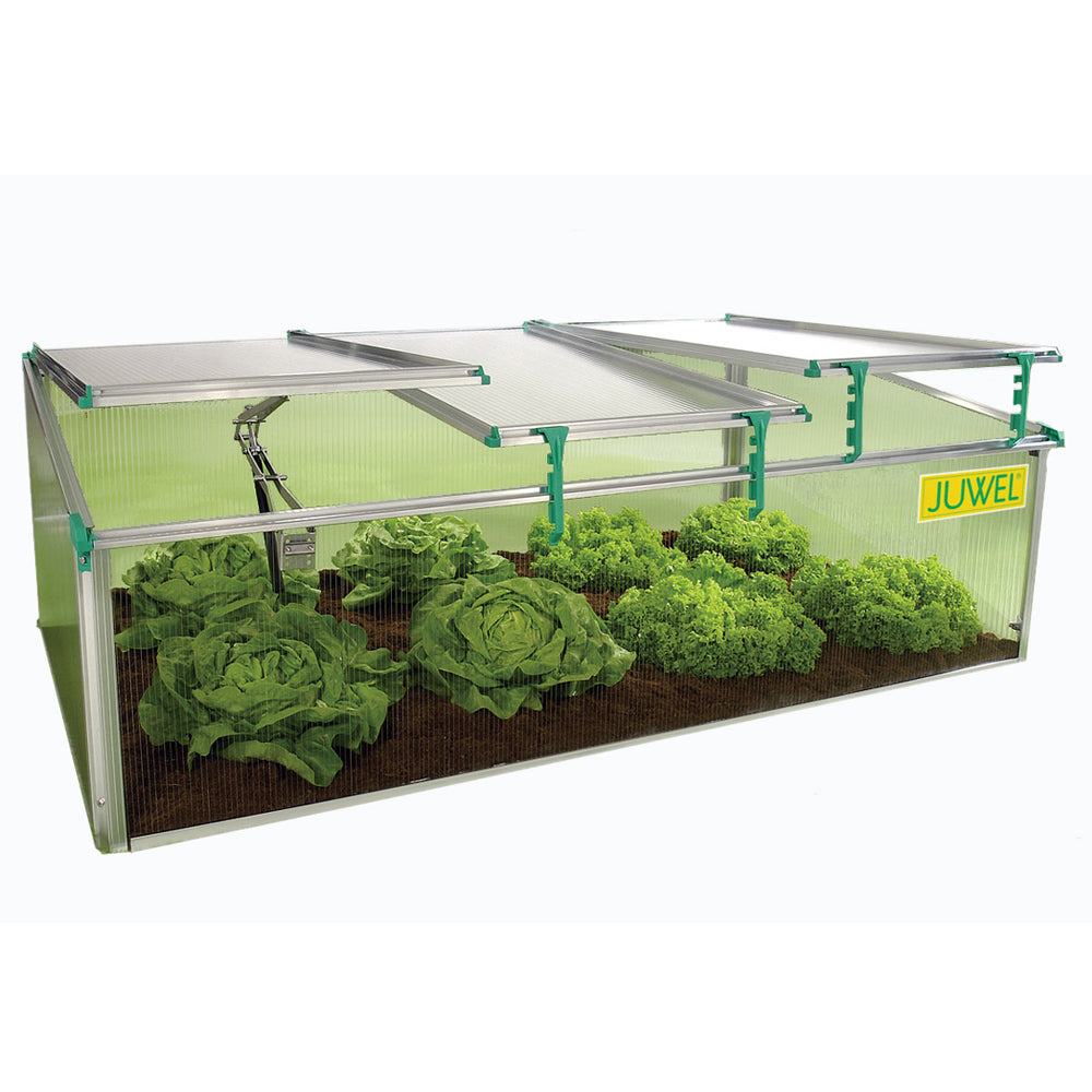 BioStar 1500 Cold Frame Mini Greenhouse