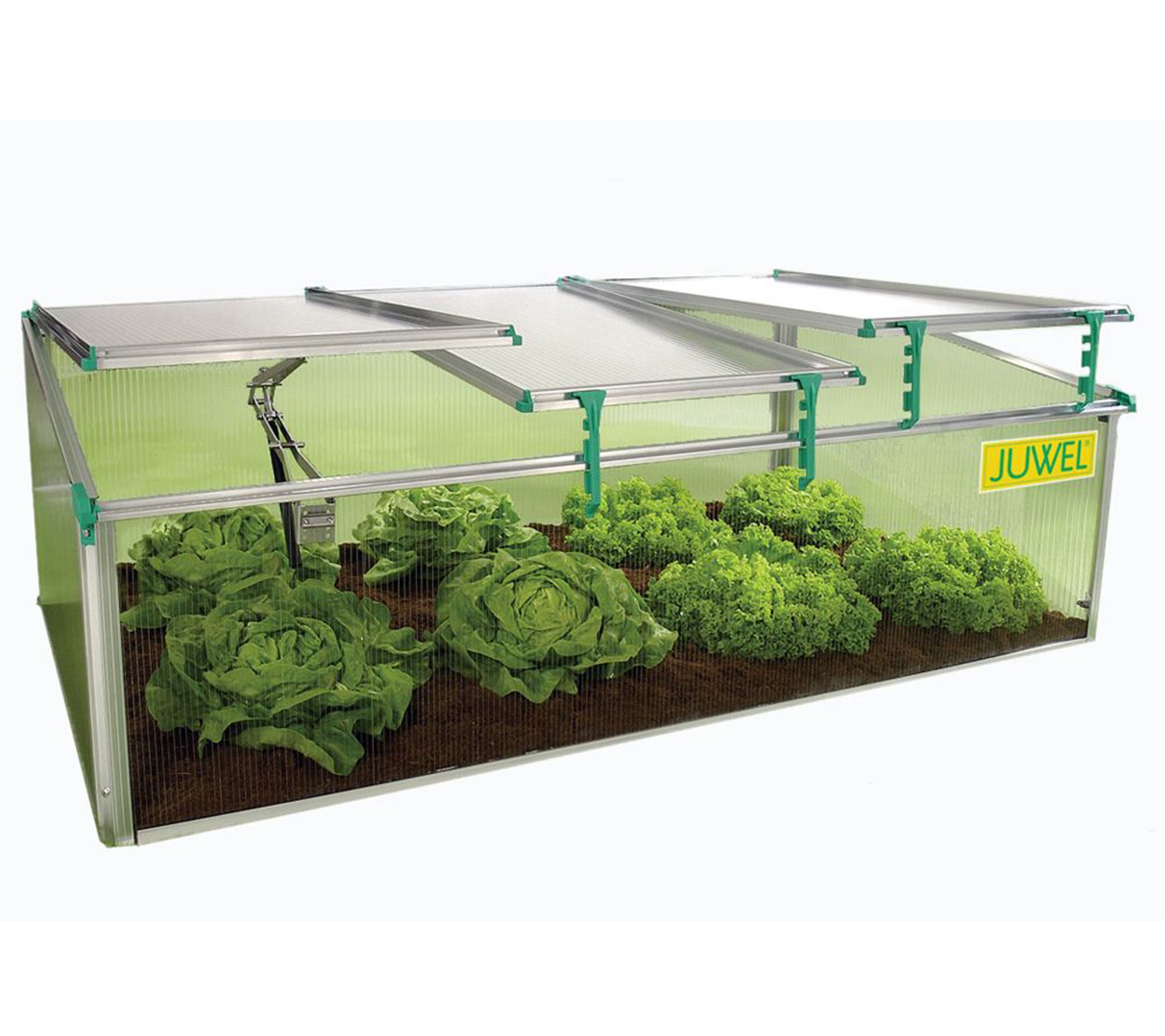 BioStar 1500 Cold Frame Mini Greenhouse