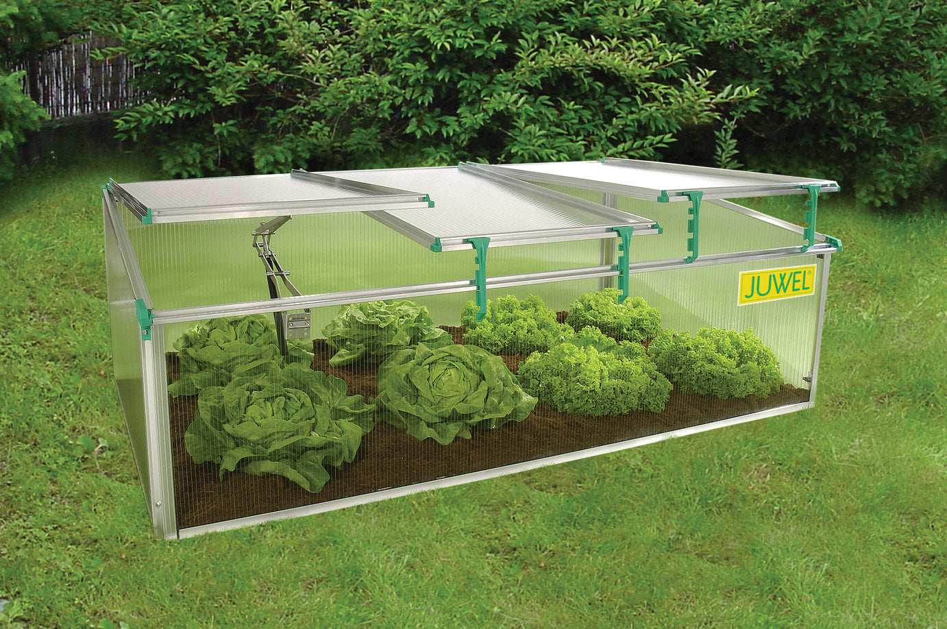 BioStar 1500 Cold Frame Mini Greenhouse